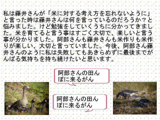 4y[W