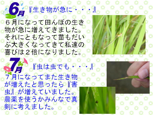 4y[W